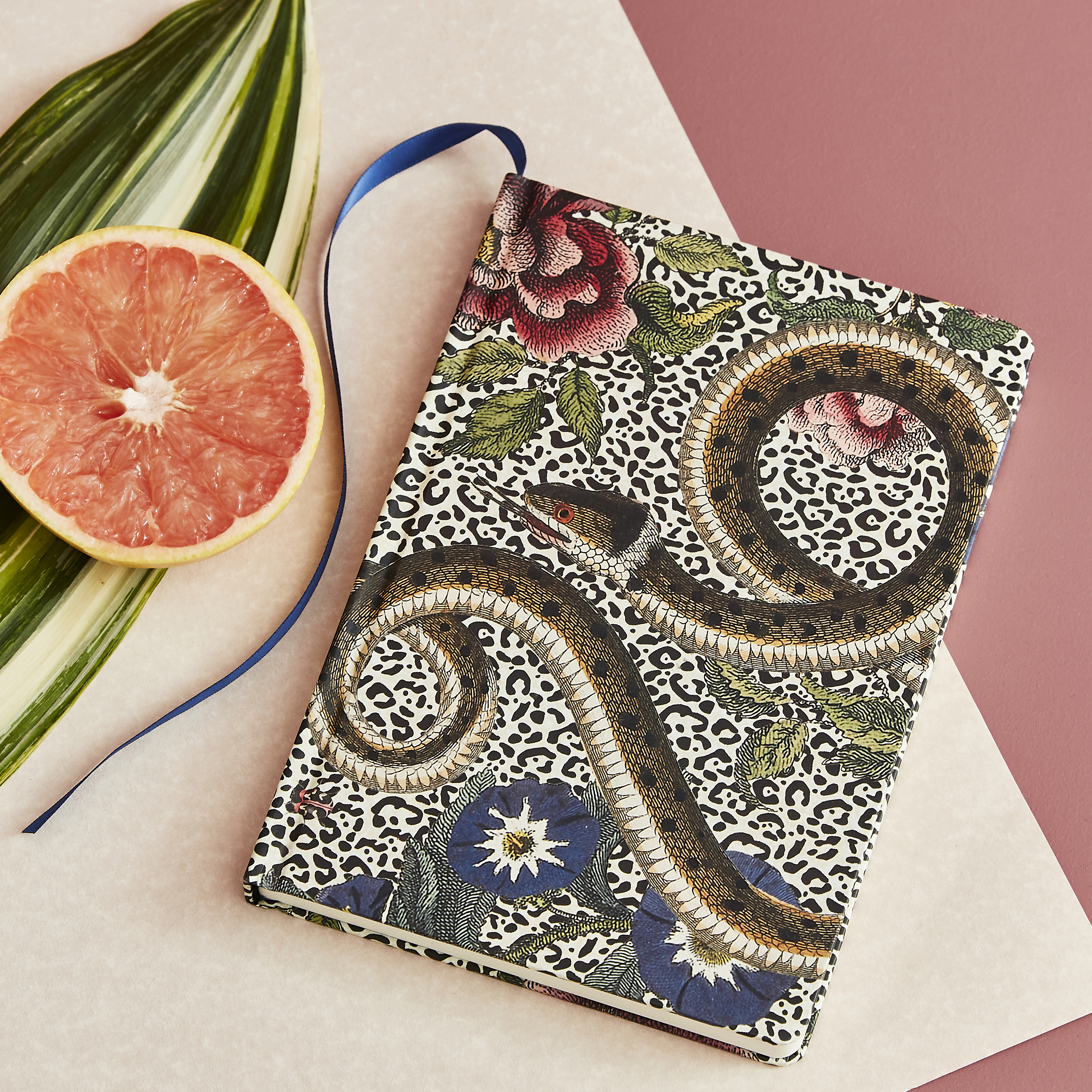 Creatures of Curiosity  Animal Print Notebook  (5.8" x 8.3") image number null